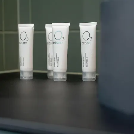 Elegant And Bright Plac Staszica Perfect For Remote Work By Renters Prestige * Breslavia